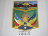 Order of the Arrow Lodge #498 Achpateuny 2015 Hurricane Yolanda Relief Fundraiser 2-piece Flap Patch Set, gray bdr