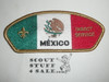 Direct Service Council MEXICO s1 CSP - Scout