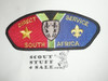 Direct Service Council SOUTH AFRICA s1 CSP - Scout