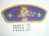 Keystone Area Council t7 CSP - Scout