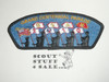 National Capital Area Council sa111 2010 Grand Centennial Parade CSP - Scout