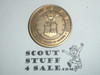 Air Force Veteran Challenge Coin / Token, Department of the Air Force
