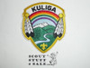 Kuliga District Patch, Dan Beard Council
