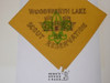 Woodworth Lake Scout Reservation Obscure Neckerchief, Sir William Johnson Council, 1970