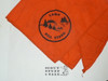 Camp Bill Stark Neckerchief, Sabine Area Council