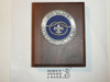 District Award of Merit Award Plaque, New in Box