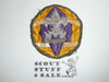 Special National Field Scout Commissioner Patch (SNFC5), 1960's, VERY RARE, sewn