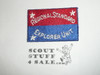 Regional Standard Explorer Unit Patch