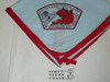 Transatlantic Council 40th Anniversary Neckerchief