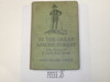 In The Great Apache Forest - The Story of a Lone Boy Scout, by James Willard Schultz, 1920 First Edition, Hardbound, Boy Scout Story Book, RARE