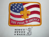 Take Pride in America, BSA Theme Patch