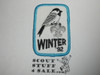 Winter 1982, BSA Generic Patch