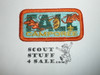 Fall Camporee Patch, Generic BSA issue, rectangle