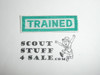 Trained Woven Patch, Generic Boy Scout Issue, green