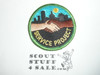 Service Project Patch, Generic BSA Activity