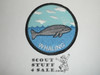 Whaling Patch, Generic BSA Activity