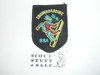 Snowboarding BSA Patch, Generic BSA Activity