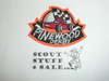Pinewood Derby Patch, Generic BSA Cub Scout Patch, orange twill