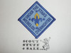 Webelos Overnighter Patch, Generic BSA Cub Scout Patch, under the stars