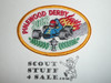 Pinewood Derby 2002 Patch, Generic BSA Cub Scout Patch