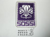 Scouts on Stamps Society International SOSSI Patch, Generic BSA Patch