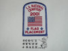 Los Angeles National Cemetery Flag Placement Patch, Los Angeles Area and Western Los Angeles County Councils, 2001