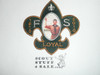 2010 100th Boy Scout Anniversary FOS Loyal Patch