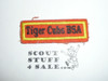 Tiger Cubs BSA Segment Patch, used