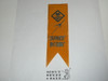 Cub Scout Space Derby Ribbon