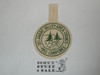 1953 Deleware Valley Area Council Camporee Felt Patch