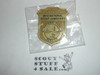 2010 National Jamboree National Park Service Junior Park Ranger Badge