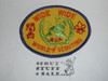 Wide Wide World of Scouting Patch