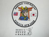Far East Council Japan District Cub Fun Day Patch, 2008