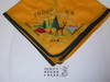 Transatlantic Council Troop 64 Rhein-Main AFB Germany Embroidered Neckerchief