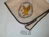 Transatlantic Council Golden Falcon Training Neckerchief