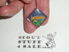 2007 Boy Scout World Jamboree Pin, Patch logo, colorful