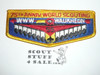 Order of the Arrow Lodge #55 Waukheon s6 75th World Scouting Anniversary Flap Patch, a little box soil