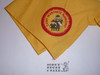 Camp Masonite Navarro Neckerchief, Sonoma Mendocino Area Council, yellow