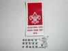 1976 Good Turn Day Boy Scout Emblem Sticker, Scouting USA