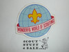 Wonderful World of Scouting Boy Scout Emblem Sticker
