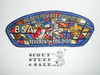 Baden Powell Council sa46 CSP