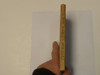 A Boy Scouts' Holiday, by Edward Griggs, 1921 First Edition, Hardbound, Boy Scout Story Book