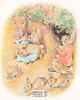 Tale of Flopsy Bunnies Beatrix Potter Postcard Classico SF #206-004, 8x10"