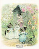 Tale of Tom Kitten Beatrix Potter Postcard Classico SF #206-008, 8x10"