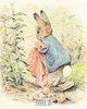 Tale of Benjamin Bunny Beatrix Potter Postcard Classico SF #206-011, 8x10"