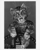 Saturday Night Live Toonces Postcard by Classico SF #220-131, 8x10"