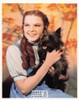 The Wizard of Oz Judy Garland Postcard by Classico SF #220-206, 8x10"