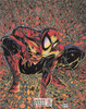 Spider Man Marvel Superhero Postcard by Classico San Francisco #225-004, 8x10"