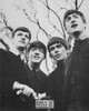 The Beatles Postcard by Classico SF #274-004, 8x10"