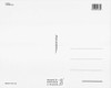 The Beatles Postcard by Classico SF #274-004, 8x10"